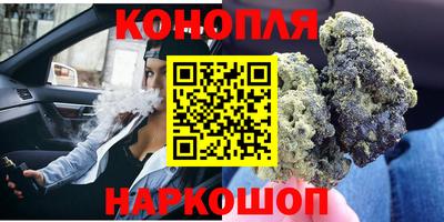 прущие крисы Славгород