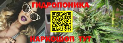 прущие крисы Славгород