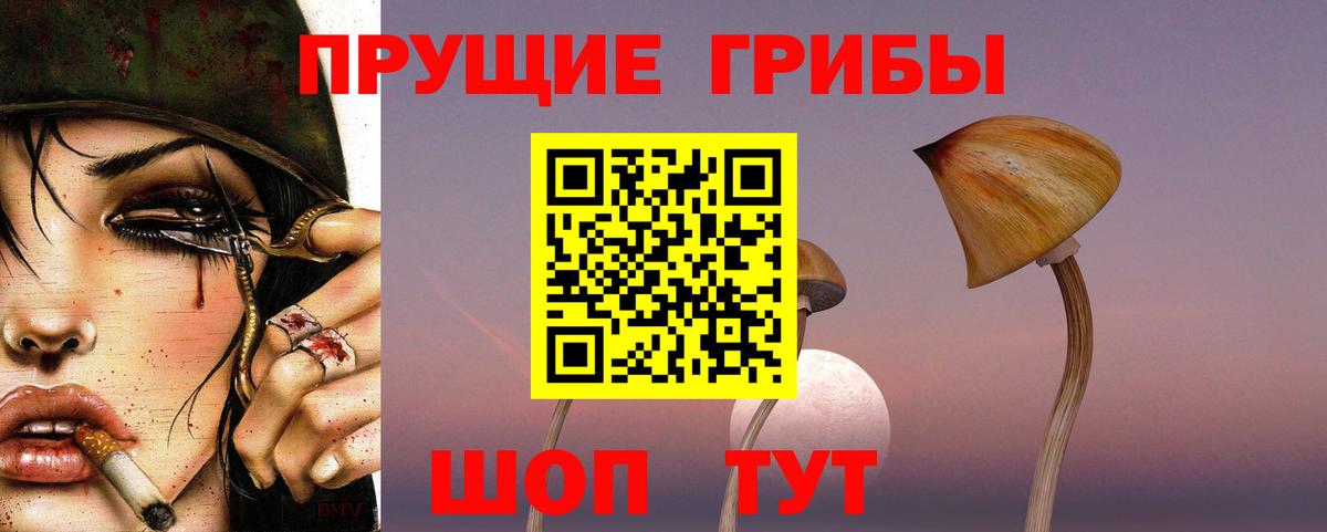 Сердобск  Псилоцибиновые грибы Magic Shrooms  Вход с VPN 